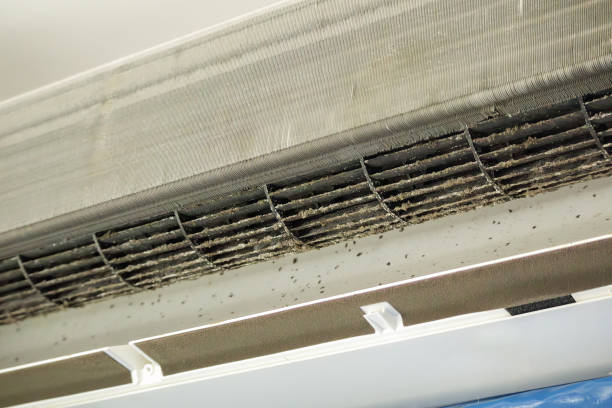 Best Dryer Vent Cleaning Services  in Windsor, PA